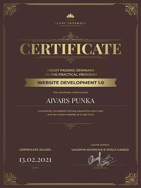 Profi Internet